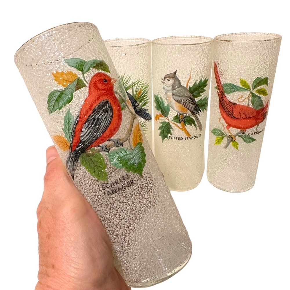 Vintage Song Bird Glasses (4)